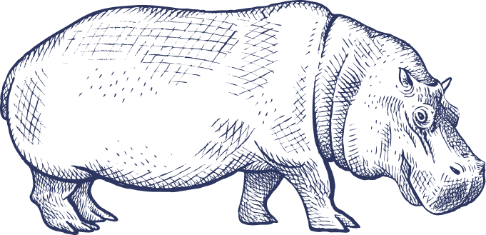 Hippo Full Blue