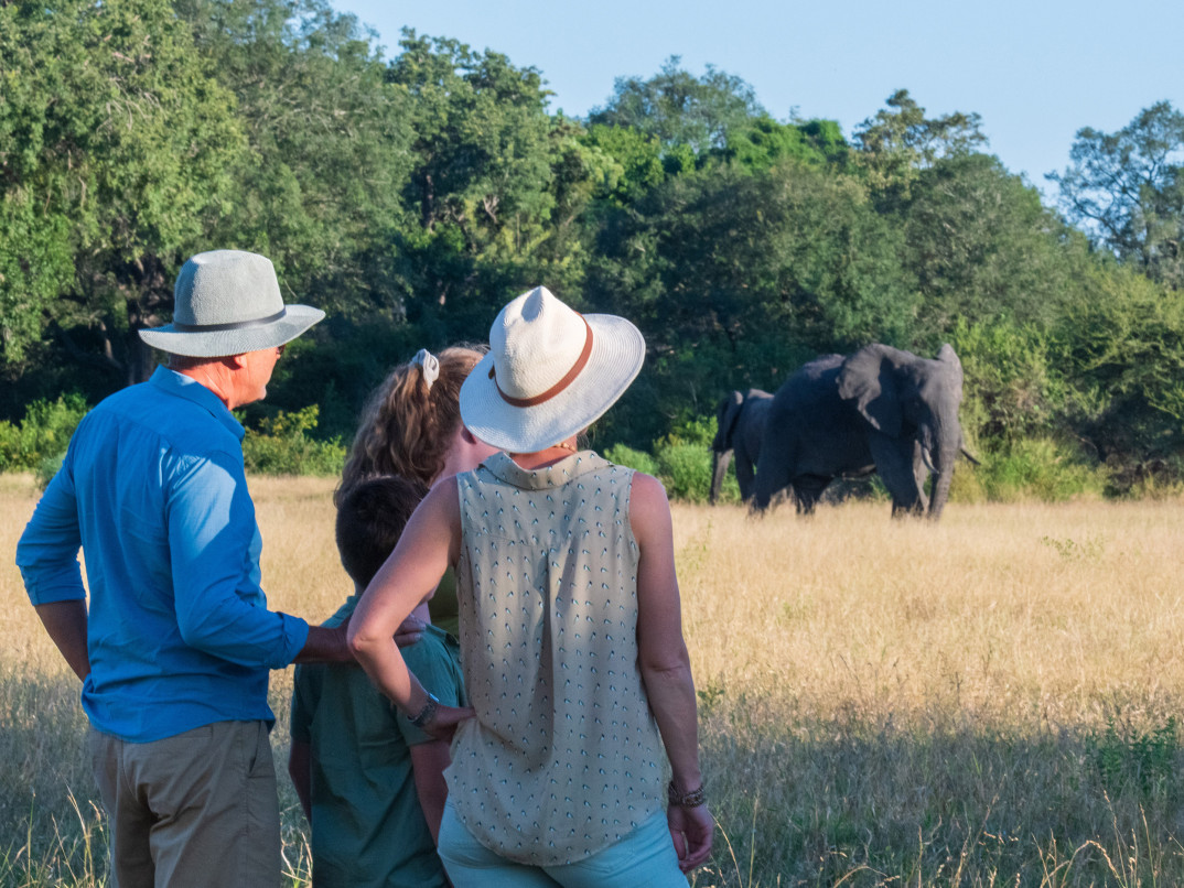 Ss Collection Sabi Sabi Usp Experiences Family Safari