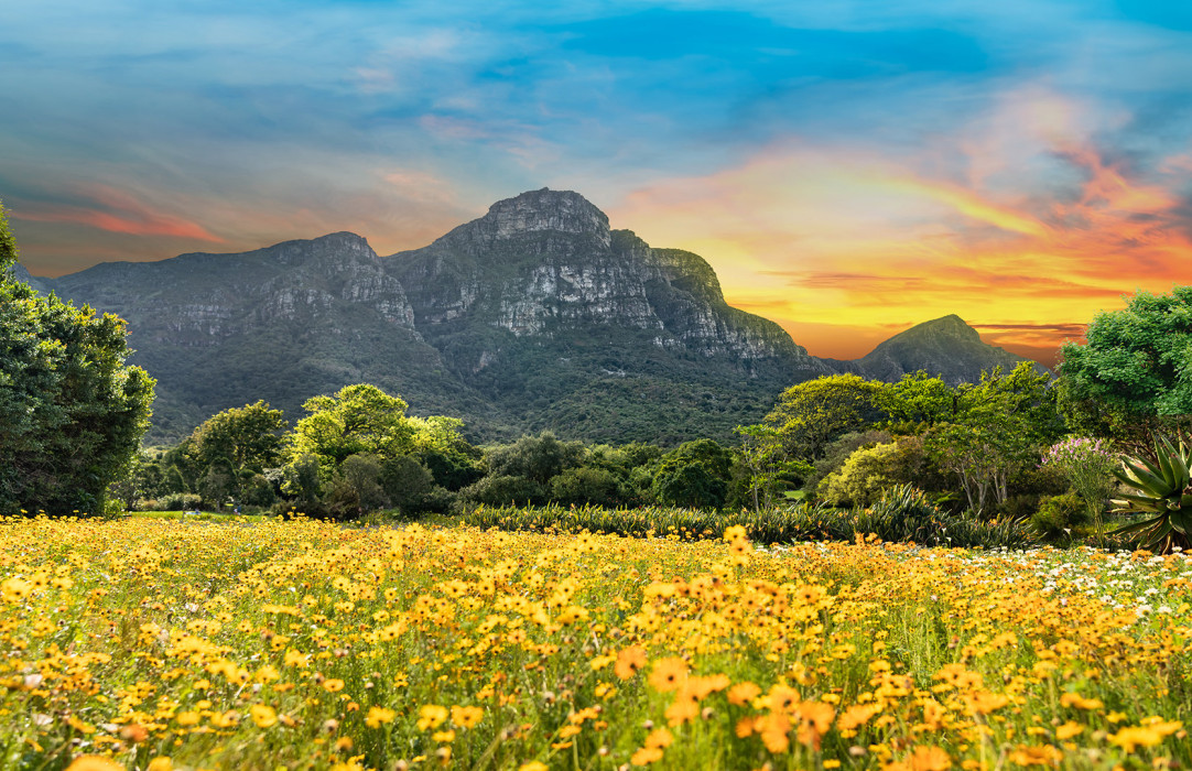 Ss Collection Home Packages Cape Town Kruger Kirstenbosch
