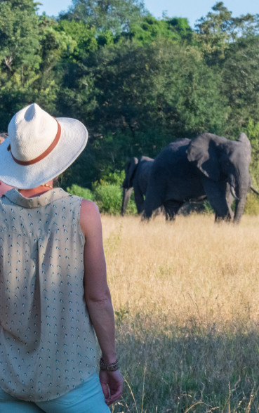 Ss Collection Private Travel Gallery Sabi Sabi Family Game Viewing