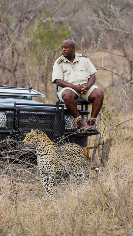 Ss Collection Ranger Academy Purpose Vision Tracker Leopard