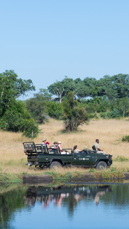 Ss Collection Sabi Sabi Gallery Safari Experiences Safari Drive