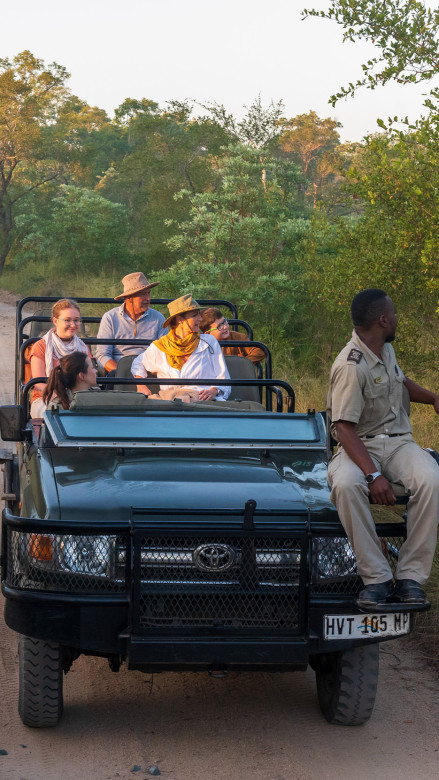 Ss Collection Private Travel Usp Logistics Safari Drive