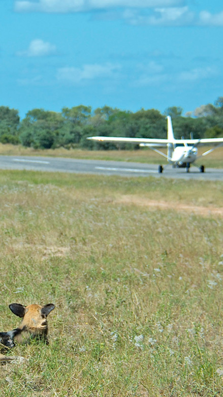 Ss Collection Private Travel Usp Departure Private Landing Strip