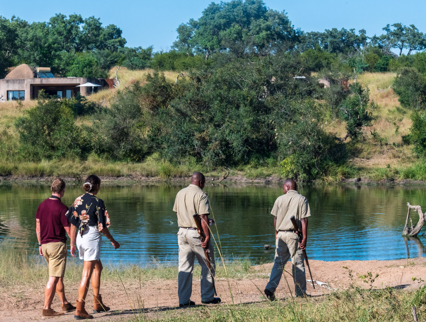 Ss Collection Home Experiences Safari Walking