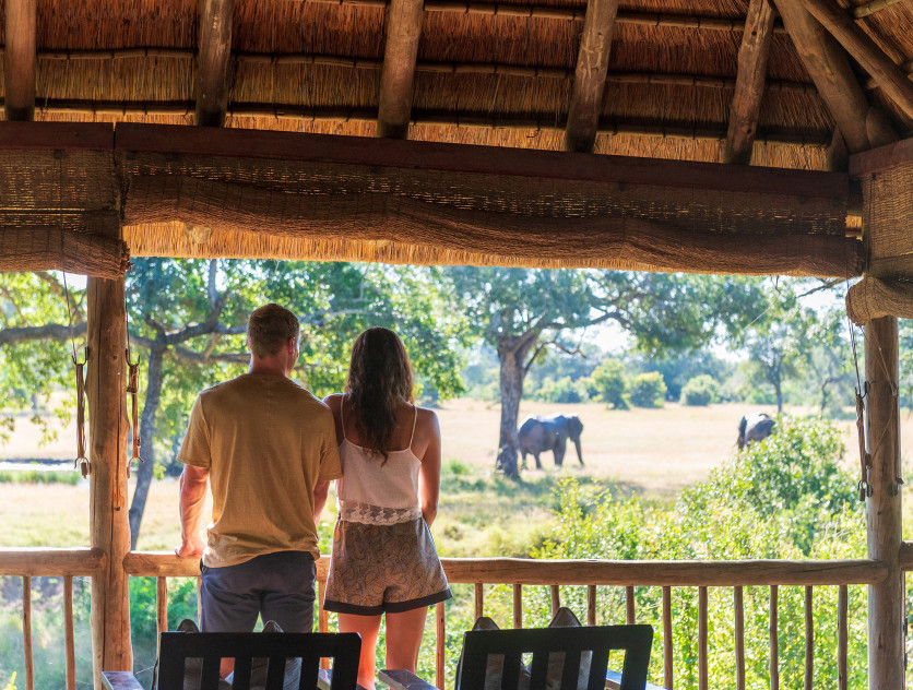 Ss Collection Home Experiences Safari Elephant Bush Lodge