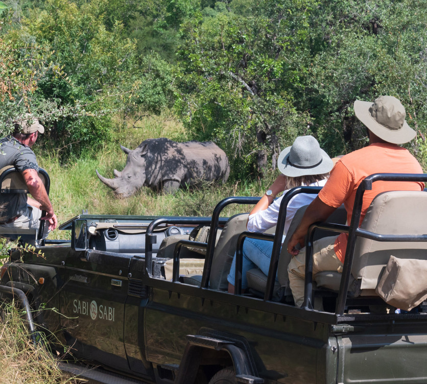 Ss Collection Home Our Promise Quality Guiding Safari Rhino