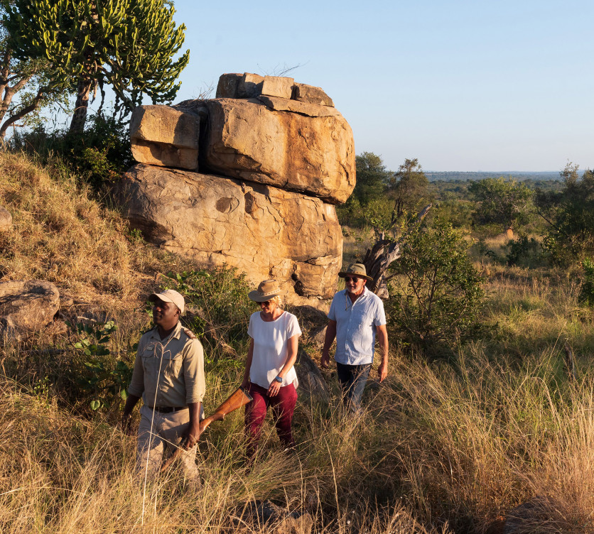 Ss Collection Home Our Promise Quality Guiding Walking Safari