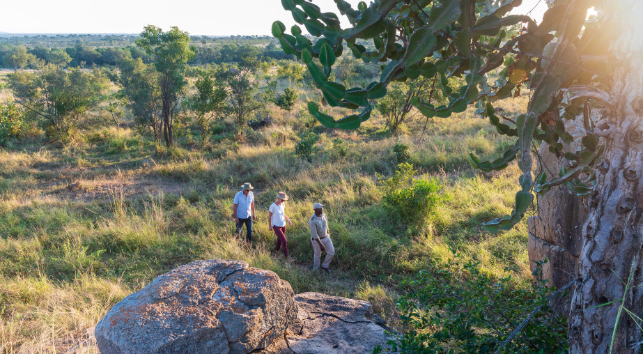 Ss Collection Sabi Sabi Gallery Safari Experiences Walking Safari