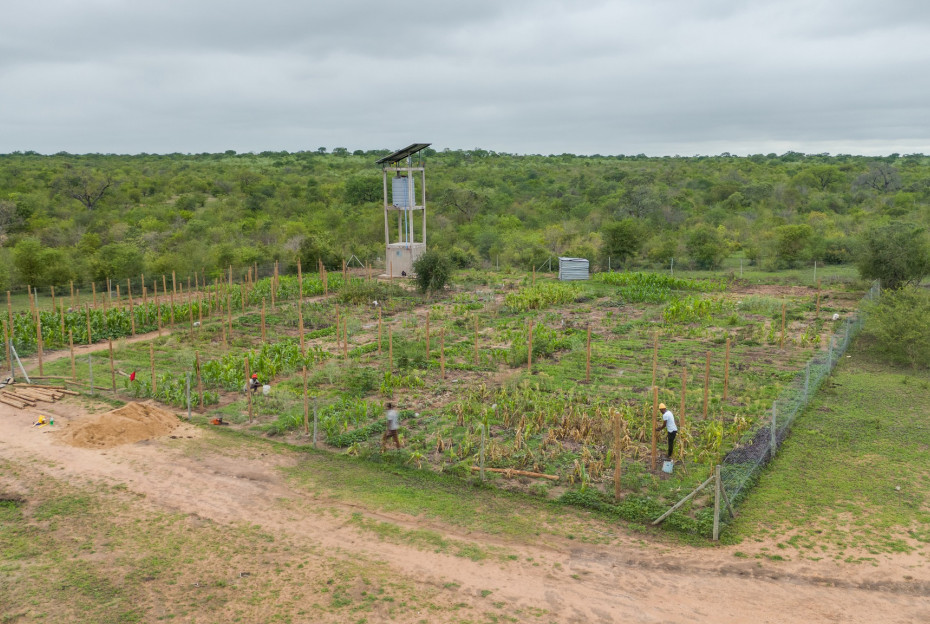 Food Security Programme 01