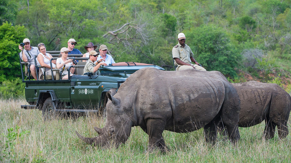 Ss Collection Foundation Gallery Rhino On Safari